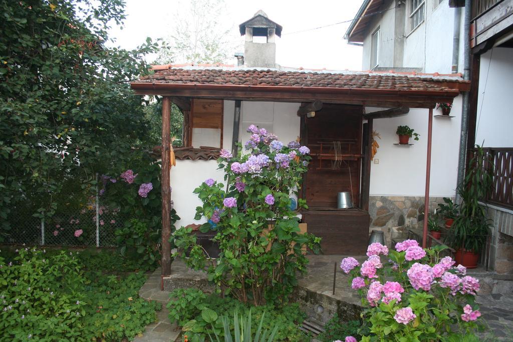 Todorova House Hotell Zlatograd Exteriör bild